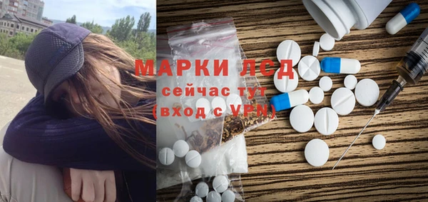 ГАЛЛЮЦИНОГЕННЫЕ ГРИБЫ Бородино