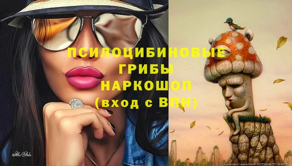 мдпв Бугульма