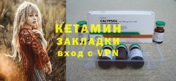 ГАЛЛЮЦИНОГЕННЫЕ ГРИБЫ Бородино