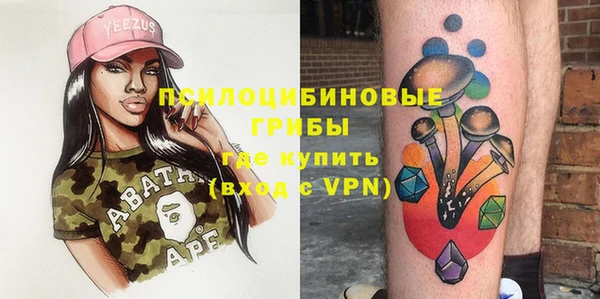 тгк Бронницы