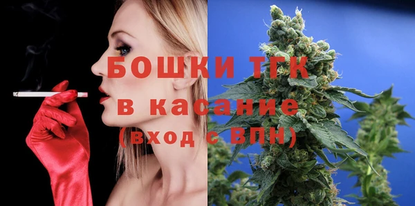 ГАЛЛЮЦИНОГЕННЫЕ ГРИБЫ Бородино