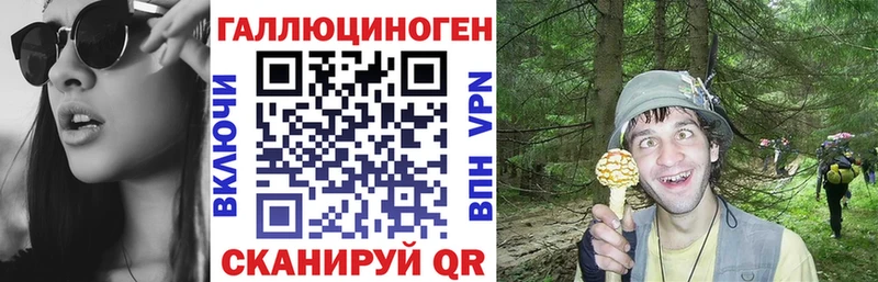 Галлюциногенные грибы мухоморы Городец